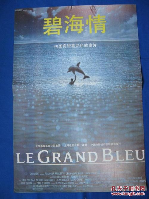 买个假的会计师/证书